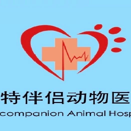 派特伴侣动物医院:北京城区朝阳区安贞附近