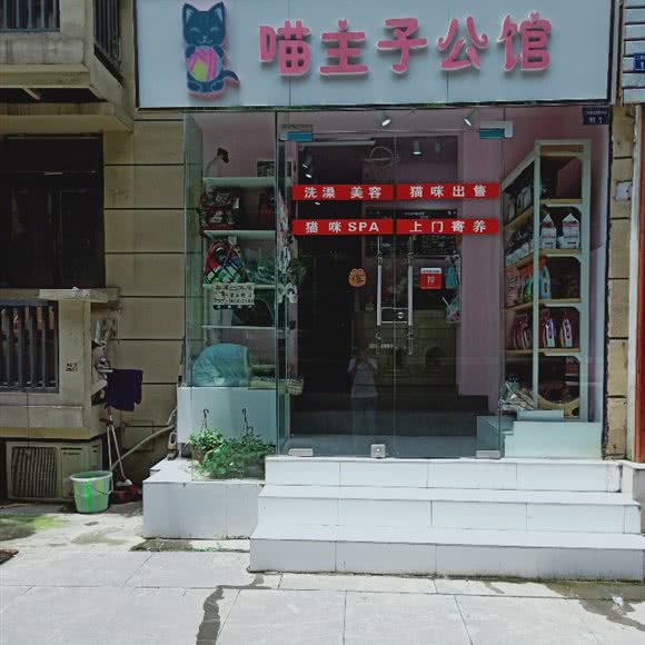 喵主子猫咪公馆:成都市锦江区牛市口附近