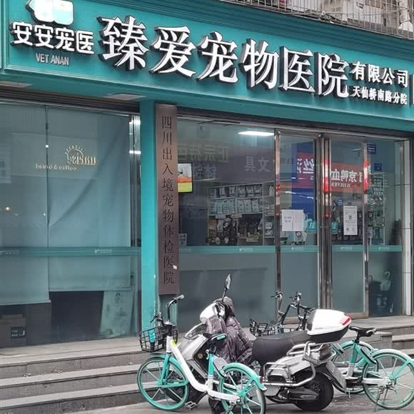 四川出入境宠物体检医院(天仙桥南路分院):成都市锦江区兰桂坊附近