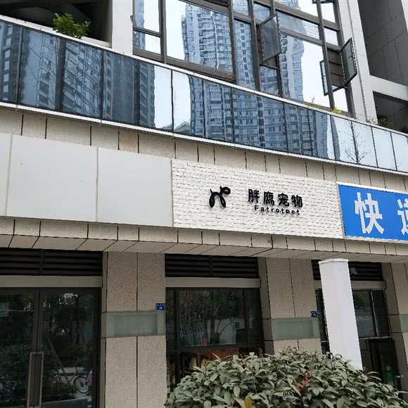 胖腐宠物:成都市锦江区三圣乡附近