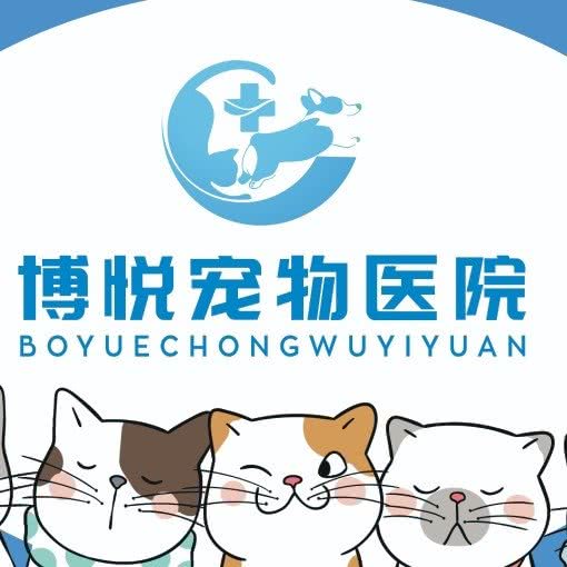 博悦宠物医院(V客东都店):成都市锦江区三圣乡附近