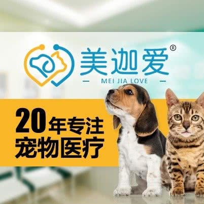 美迦爱绿房子动物医院:北京城区朝阳区安贞附近