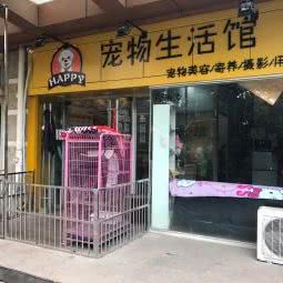 OldFriends宠物生活馆:成都市锦江区琉璃场附近