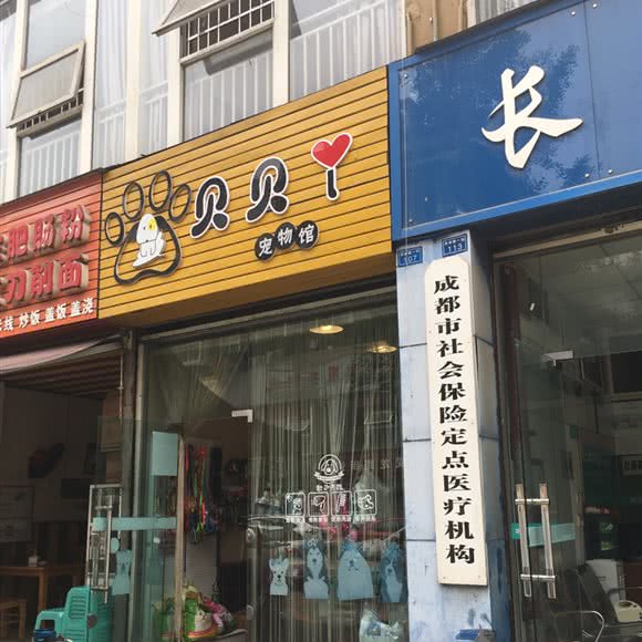 贝贝丫宠物馆:成都市锦江区琉璃场附近