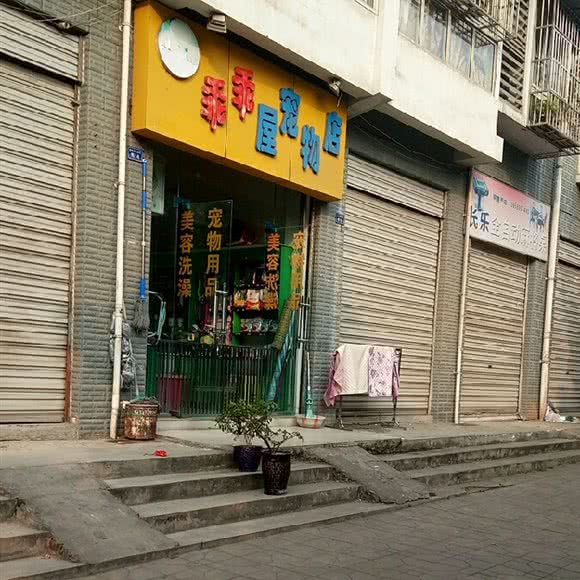 乖乖屋宠物店:成都市锦江区琉璃场附近