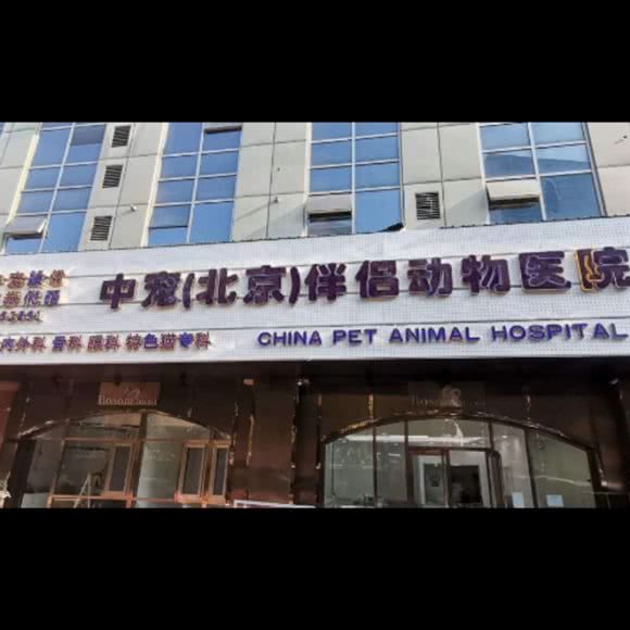 中宠伴侣动物医院:北京城区朝阳区安贞附近