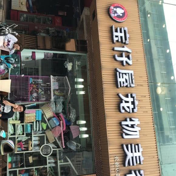 宝仔屋宠物美容(长顺店):成都市青羊区宽窄巷子附近
