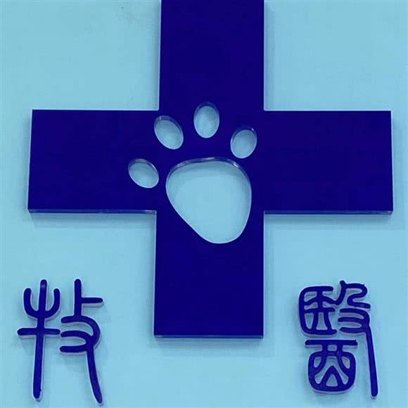 宠爱牧医动物医院:成都市青羊区宽窄巷子附近