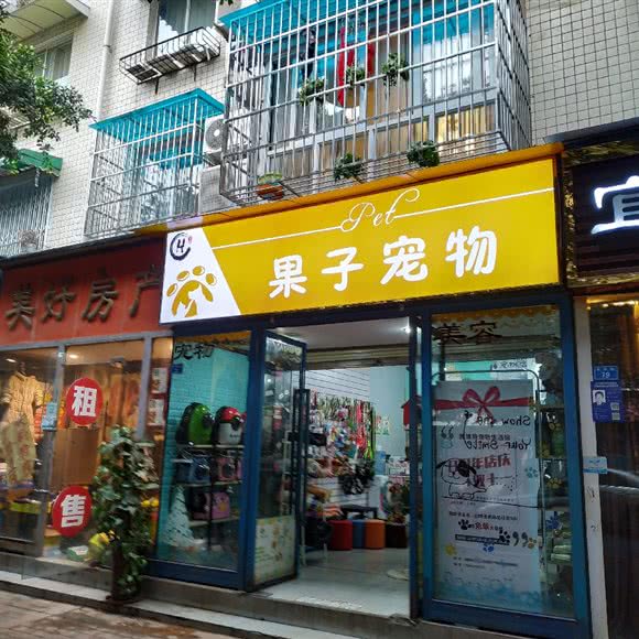 果子宠物:成都市青羊区光华村附近