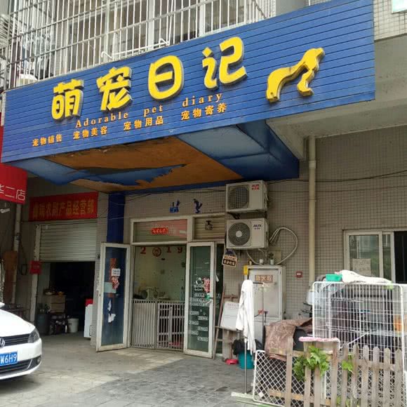 萌宠笔记:成都市青羊区光华村附近