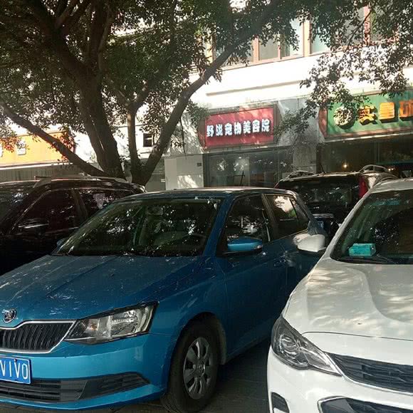 野战宠物美容院:成都市青羊区金沙遗址/西单商场附近