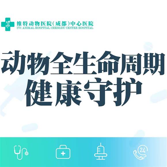 维特成都动物医院:成都市青羊区金沙遗址/西单商场附近