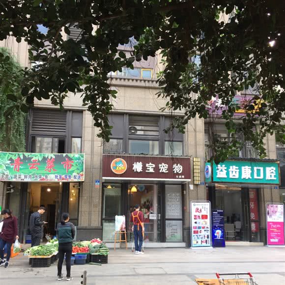 檬宝宠物:成都市青羊区金沙遗址/西单商场附近