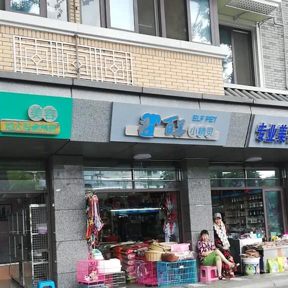 百美小精灵宠物中心:成都市青羊区青羊宫附近
