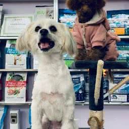 多多宠物店:成都市青羊区府南新区附近