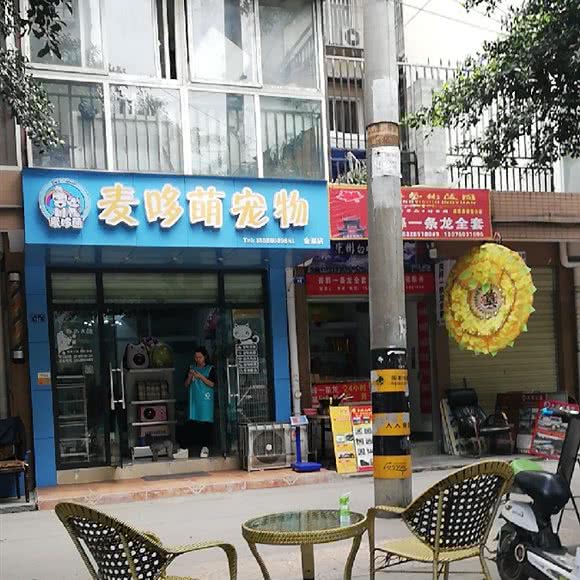 麦哆萌宠物:成都市青羊区府南新区附近