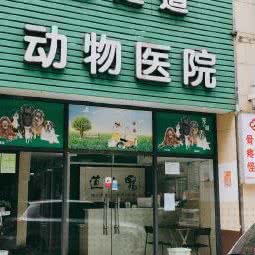 宠之道联合动物医院:成都市青羊区府南新区附近