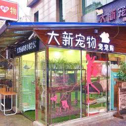 大新宠物:成都市青羊区北门大桥附近