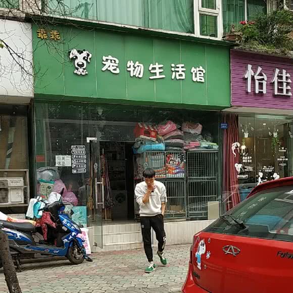 乖乖宠物生活馆:成都市青羊区同盛路附近