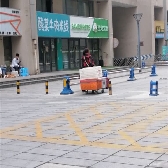 Favorpets圣宠宠物:成都市青羊区中坝/青羊万达附近