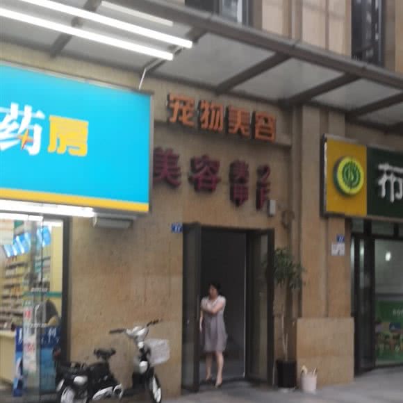 萌宠陪你宠物美容:成都市青羊区中坝/青羊万达附近