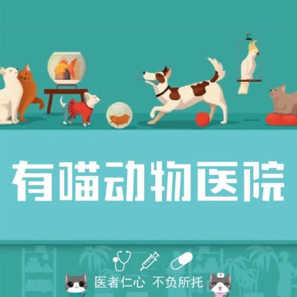 有喵动物医院:成都市青羊区中坝/青羊万达附近