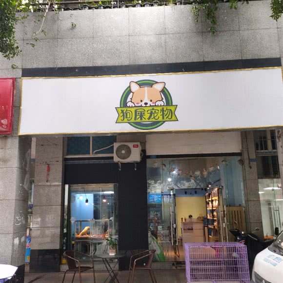 狗屎宠物狗:成都市金牛区九里堤附近