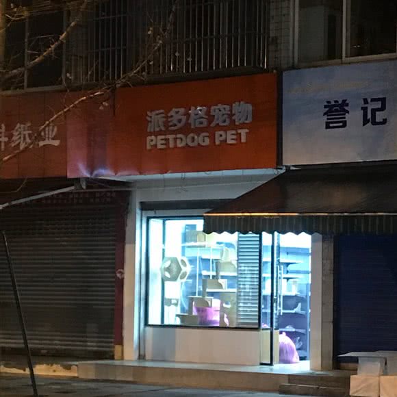 派多格宠物狗:成都市金牛区人民北路附近