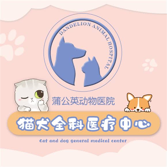 蒲公英动物医院(龙湖上城店):成都市金牛区人民北路附近