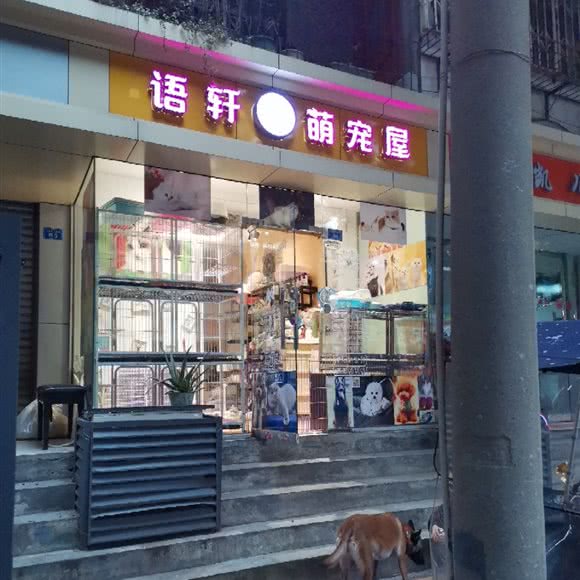 语轩萌宠屋:成都市金牛区西南交大附近