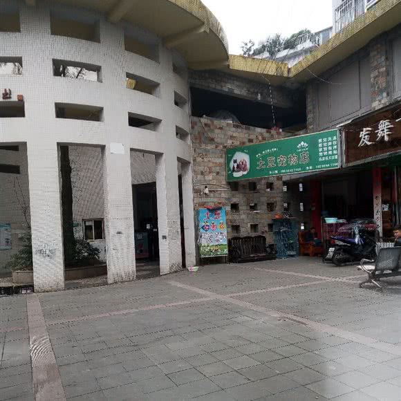 土豆宠物店:成都市金牛区西南交大附近