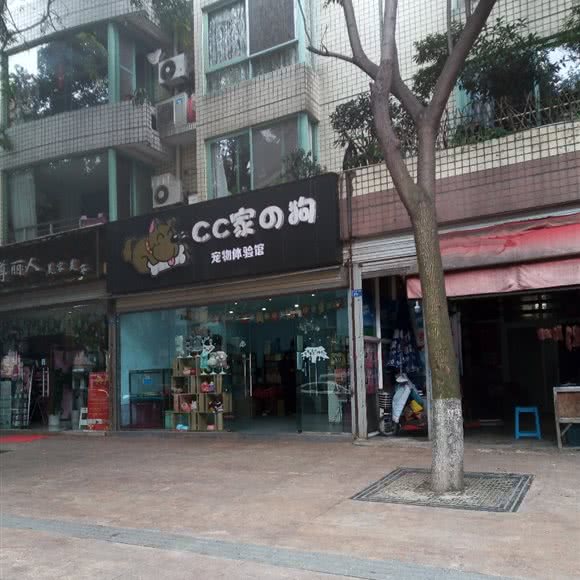 CC家的狗宠物体验馆:成都市金牛区西南交大附近