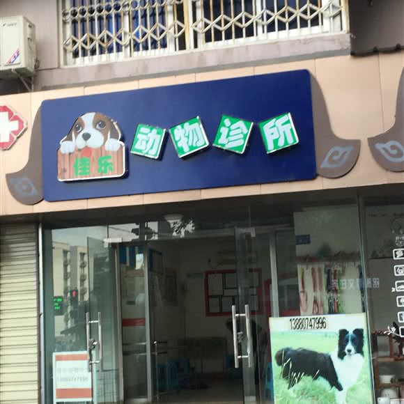 佳乐宠物医院:成都市金牛区蜀汉路附近