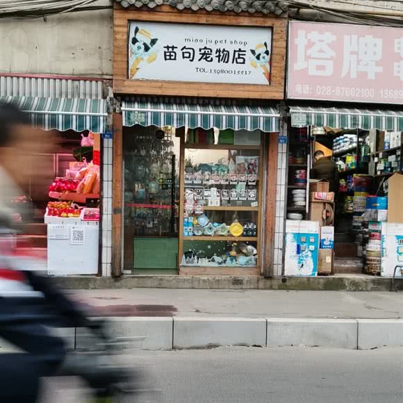 苗句宠物店:成都市金牛区营门口附近