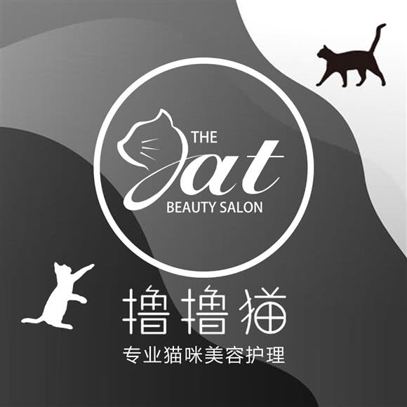 撸撸猫宠物店:成都市金牛区茶店子附近