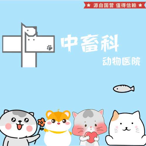 中畜科动物医院(茶店子店):成都市金牛区茶店子附近