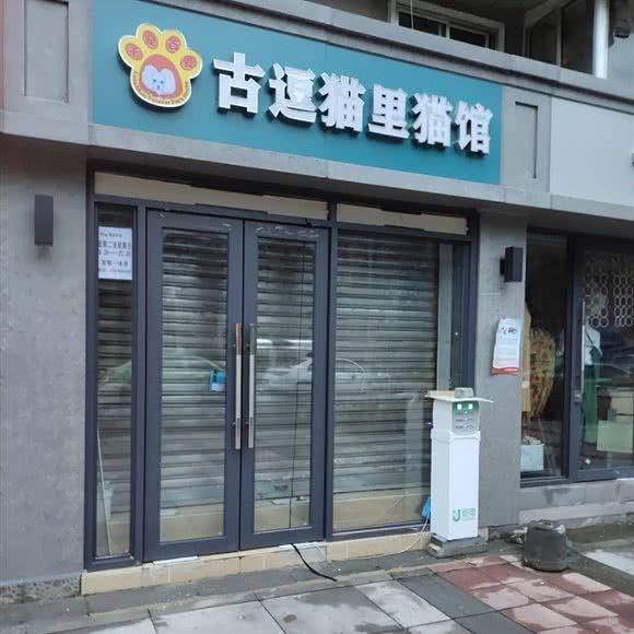 古豆猫里猫馆:成都市金牛区西安北路附近