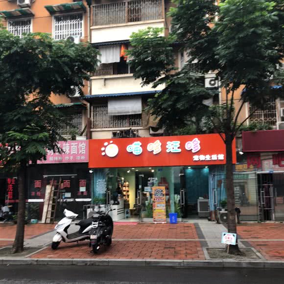 喵哆汪哆:成都市金牛区五块石附近