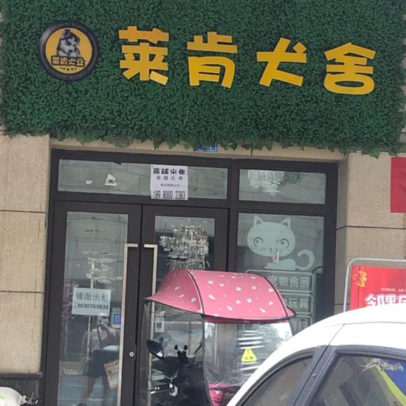 莱肯犬舍:成都市金牛区五块石附近