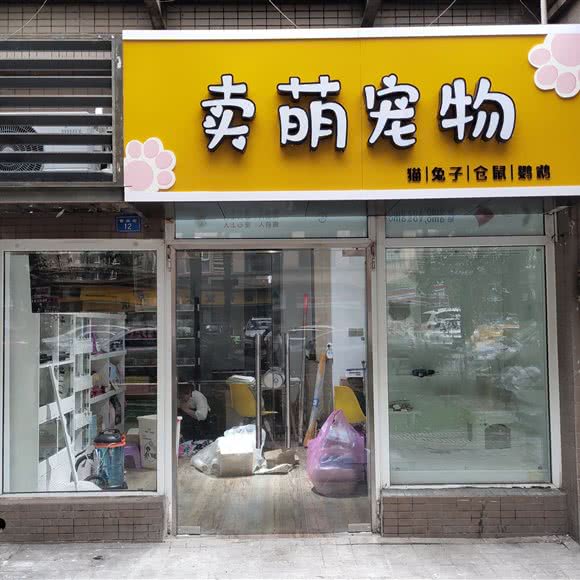 卖萌宠物:成都市金牛区中海国际附近