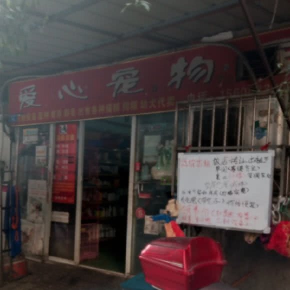 爱心宠物店:成都市金牛区火车站附近