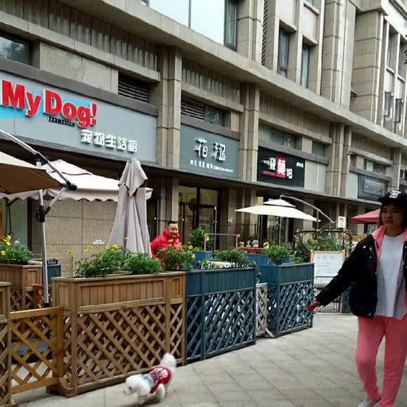 ohmydog宠物生活馆(广和二街店):成都市武侯区高新区附近