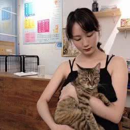 宠屋:成都市武侯区高新区附近