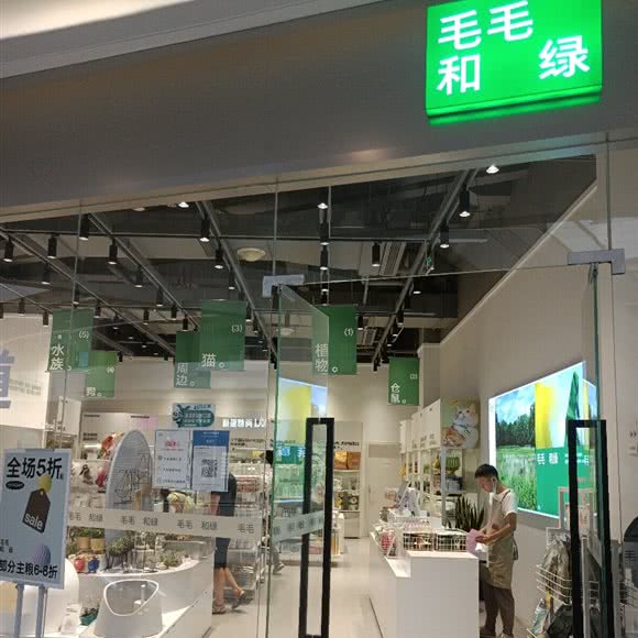 毛毛和绿(D5店):成都市武侯区高新区附近