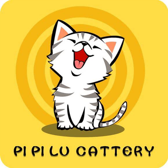 皮皮鲁宠物猫舍·猫咪寄养(天府三街店):成都市武侯区高新区附近
