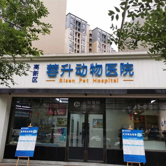 蓉升动物医院:成都市武侯区高新区附近