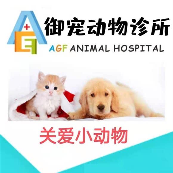 AGF奥祉御宠哺乳动物诊所:成都市武侯区高新区附近
