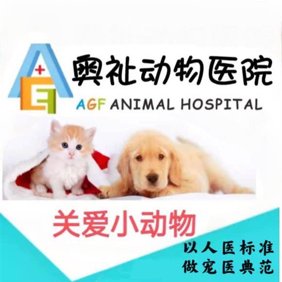 AGF奥祉动物医院(雍湖湾店):成都市武侯区高新区附近