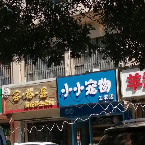 小小宠物(工农店):石家庄市桥西区中山西路附近