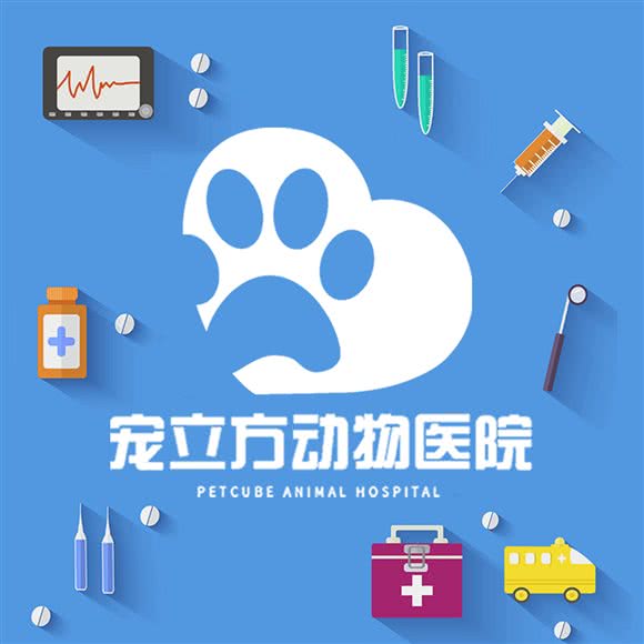 宠立方动物医院·24小时:成都市武侯区高新区附近